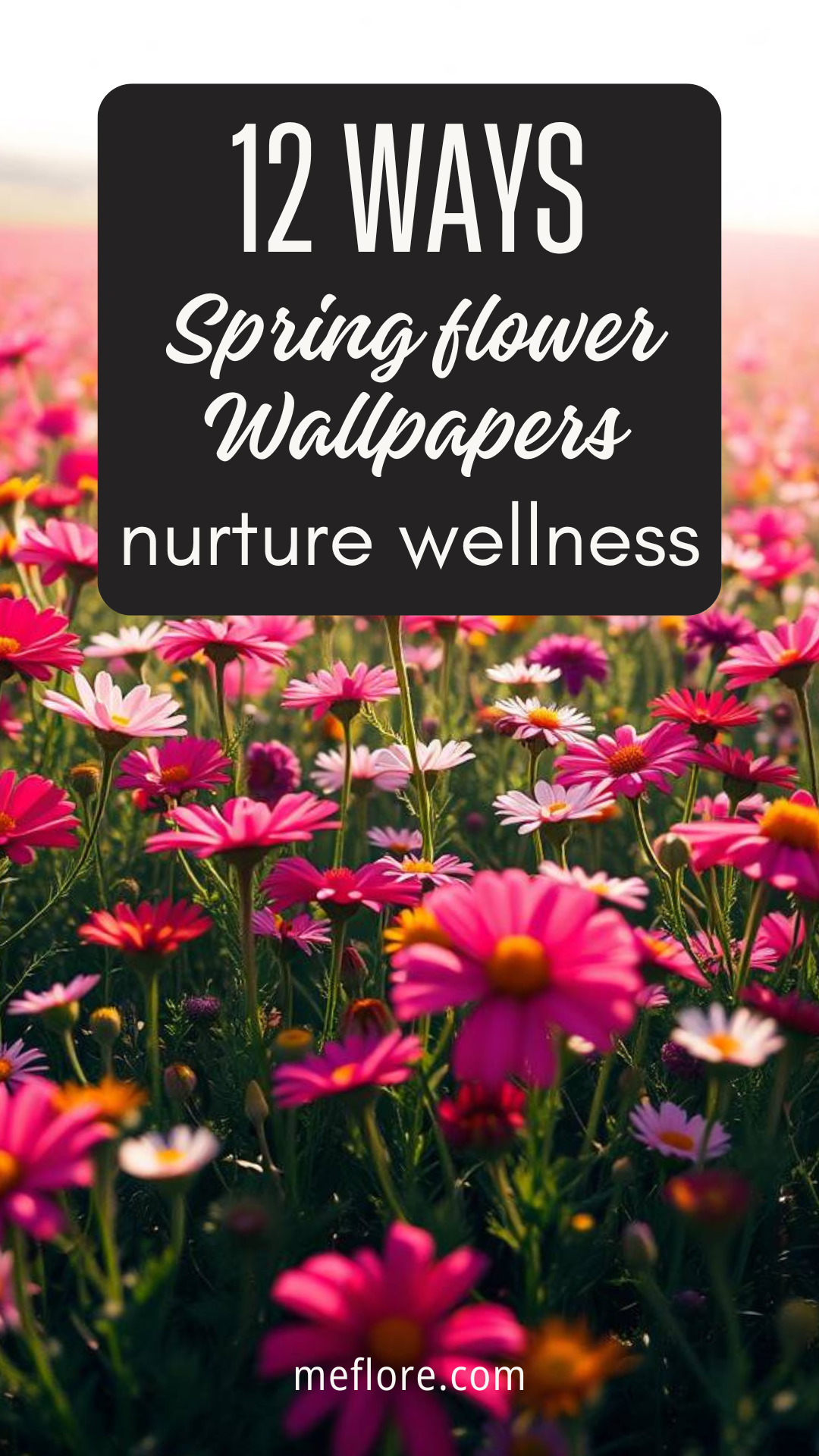 12 Ways Spring Flower Wallpapers