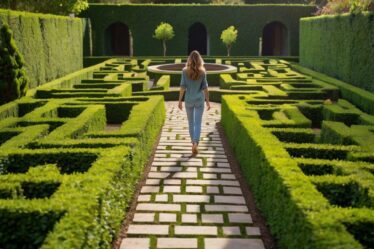 labyrinth garden